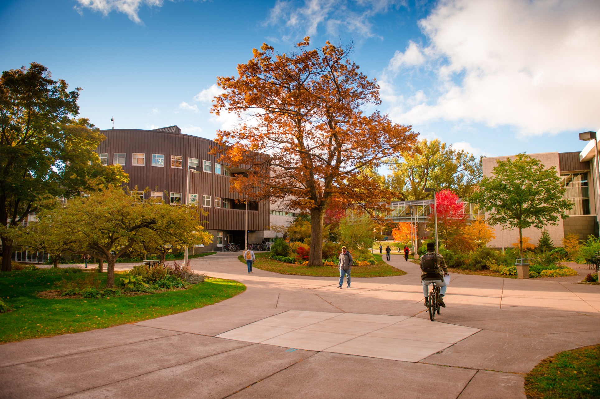 Michigan Technological University English Language Institute | ESLDirectory Michigan Technological University English Language Institute | ESLDirectory